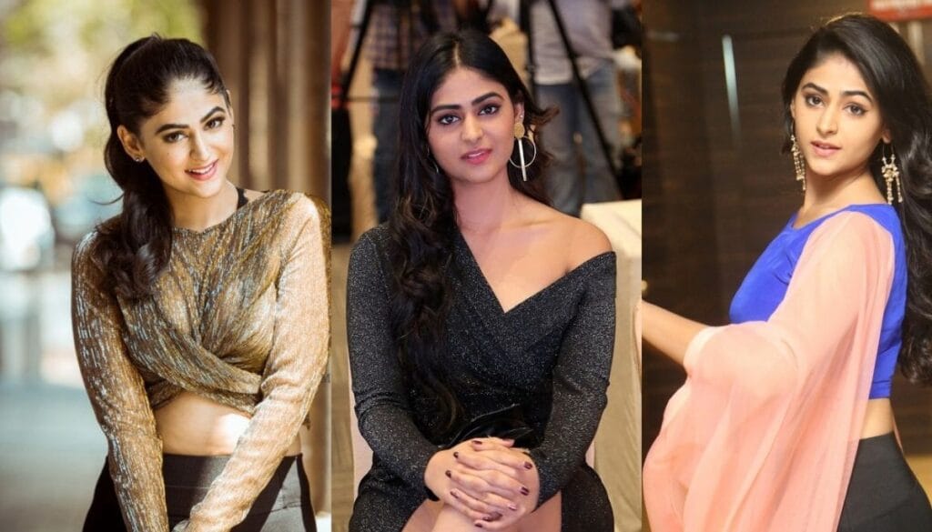 Palak Lalwani Net Worth