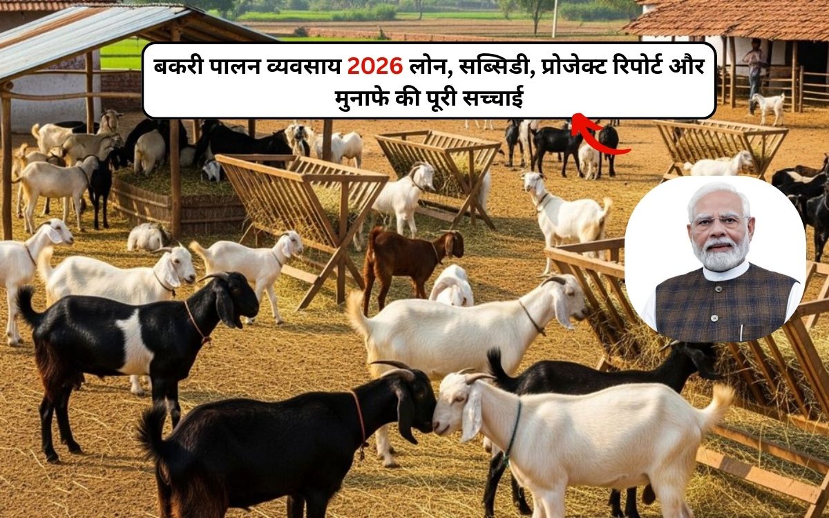 बकरी पालन व्यवसाय 2026